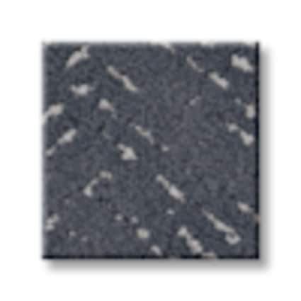 Shaw Hollis Hills Sapphire Pattern Carpet with Pet Perfect-Sample